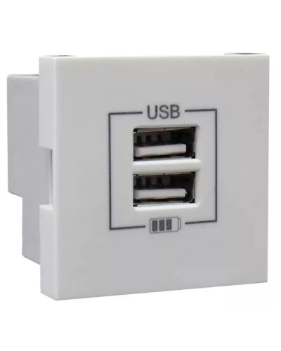 Розетка USB двойная, зарядная, белая (45439 SBR): Розетка USB двойная в Набережных Челнах