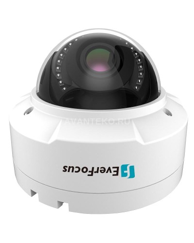 EHN-1250. Видеокамера IP купольная. EverFocus в Набережных Челнах