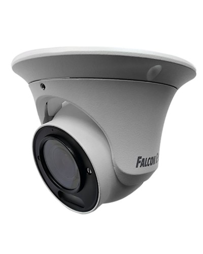 FE-IPC-DV2-40pa. Видеокамера IP купольная. Falcon EYE в Набережных Челнах
