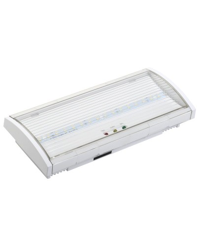 Светильник аварийный ДПА 5040-1 1ч IP54 LIGHTING (LDPA0-5040-1H-K01). Светильник аварийный постоянного действия. IEK в Набережных Челнах