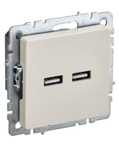 Розетка USB A+A 3,1А РЮ10-1-БрКр бежевый BRITE (BR-U21-D31-K10). Розетка USB. IEK в Набережных Челнах