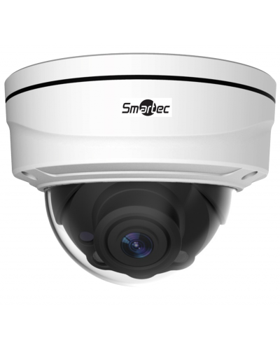 STC-IPM5512A/1 rev.2 Estima. Видеокамера IP купольная. Smartec в Набережных Челнах