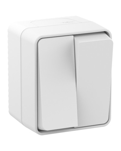 AtlasDesign PROFI54 выключатель 2-клавишный, открытой установки, белый (ATN540151). Выключатель. Systeme Electric в Набережных Челнах