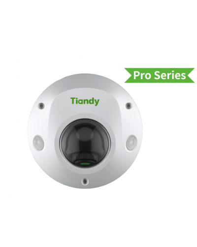 TC-C32PS I3/E/Y/M/H/2.8/V4.2. Видеокамера IP купольная. Tiandy в Набережных Челнах