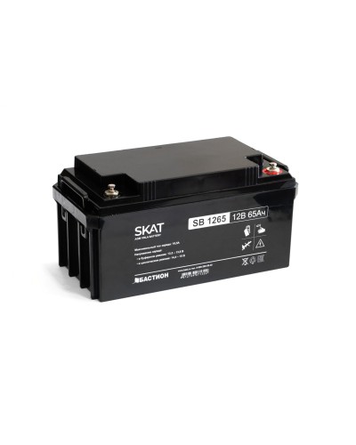 SKAT SB 1265 (2541). Аккумулятор герметичный свинцово-кислотный. Бастион в Набережных Челнах