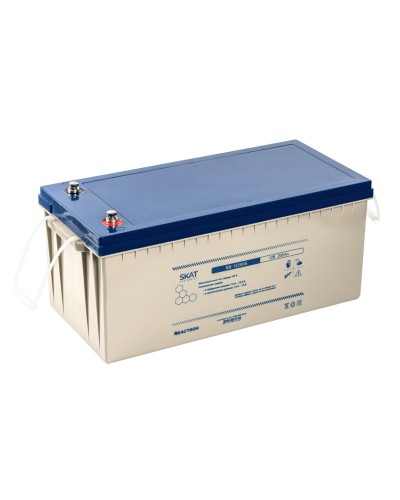 SKAT SB 12200S (8976). Аккумулятор герметичный свинцово-кислотный. Бастион в Набережных Челнах