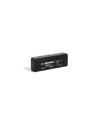 SKAT SB 12022 (2539). Аккумулятор герметичный свинцово-кислотный. Бастион в Набережных Челнах
