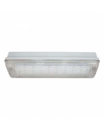 SL-223-30LED1.8 исп.1 IP54. Светильник аварийного освещения. ИП Раченков А.В. в Набережных Челнах